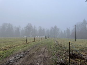 Müüa hoonestatud kinnisasi aadressil Viljandi maakond, Viljandi vald, Heimtali küla, Rekandimäe