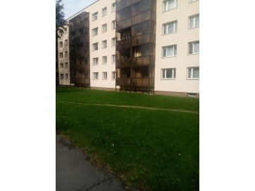 Pilt