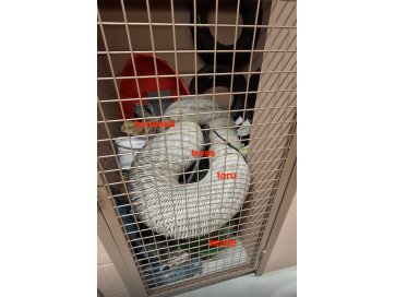 Alarõhu seadme BOS® Clean Mi müük