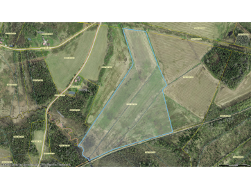 maatulundusmaa Viljandi maakond, Mulgi vald, Abjaku küla, Palu-Jaani, 165912 m2