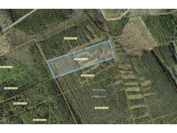 Maatulundusmaa Jõgeva vald