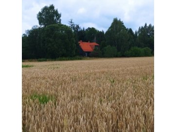 Udumäe, Hellenurme küla, Elva vald, Tartu maakond