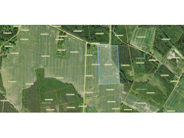 Maatulundusmaa - Tagametsa, Puugnitsa küla, Setomaa vald